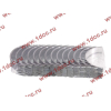 Вкладыши коренные стандарт +0.00 (14шт) LONGGONG CDM833 Lonking CDM (СДМ) 13034908/13034916 фото 2 Грозный