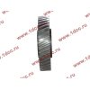 Шестерня привода распредвала промежуточная WD615/WP10 HOWO (ХОВО) VG1560050053/61560050053 фото 3 Грозный